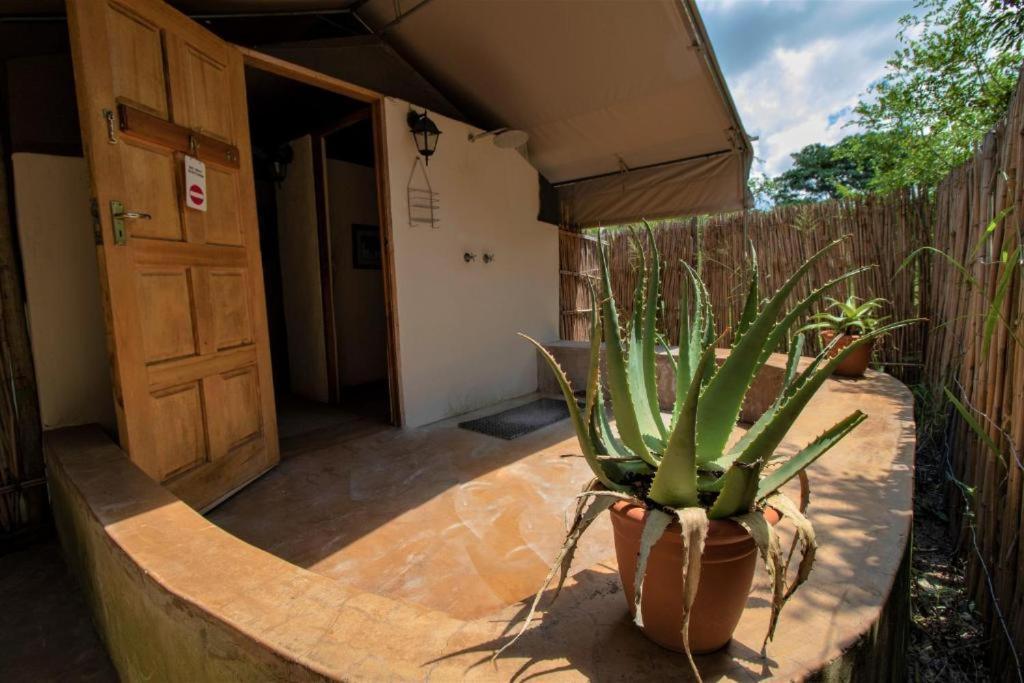 Tembe Elephant Park Lodge Sihangwane ภายนอก รูปภาพ