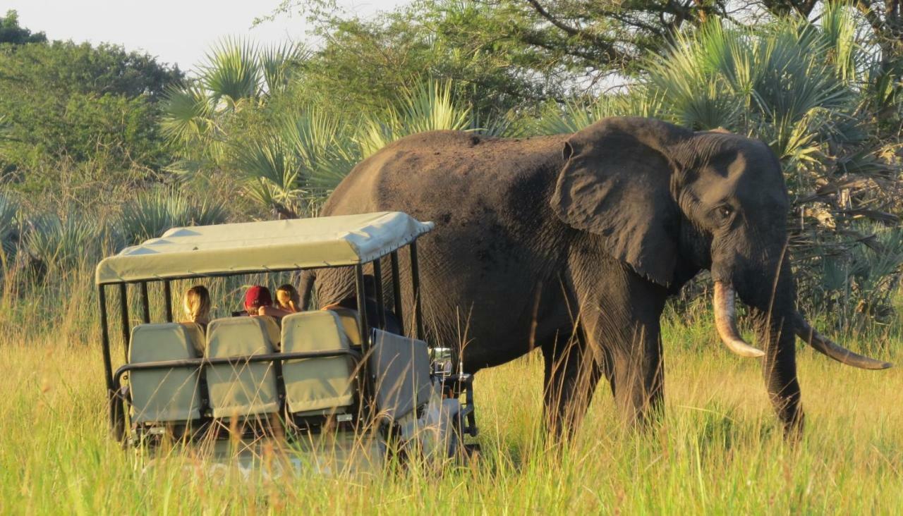 Tembe Elephant Park Lodge Sihangwane ภายนอก รูปภาพ