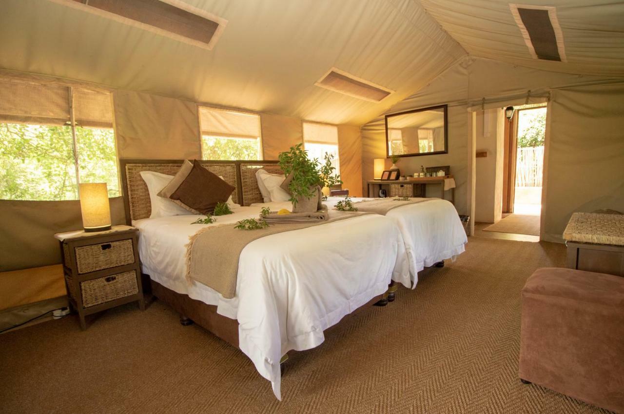 Tembe Elephant Park Lodge Sihangwane ภายนอก รูปภาพ