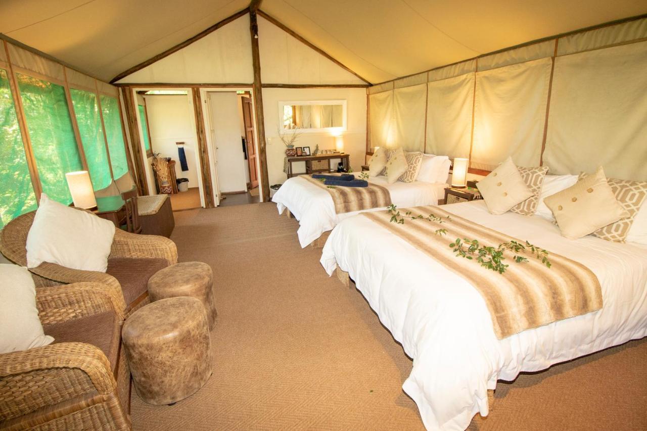 Tembe Elephant Park Lodge Sihangwane ภายนอก รูปภาพ