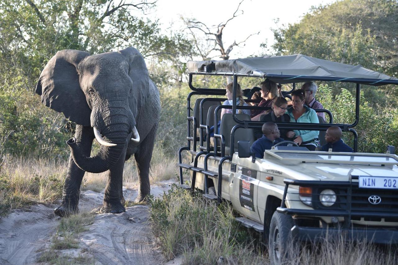 Tembe Elephant Park Lodge Sihangwane ภายนอก รูปภาพ